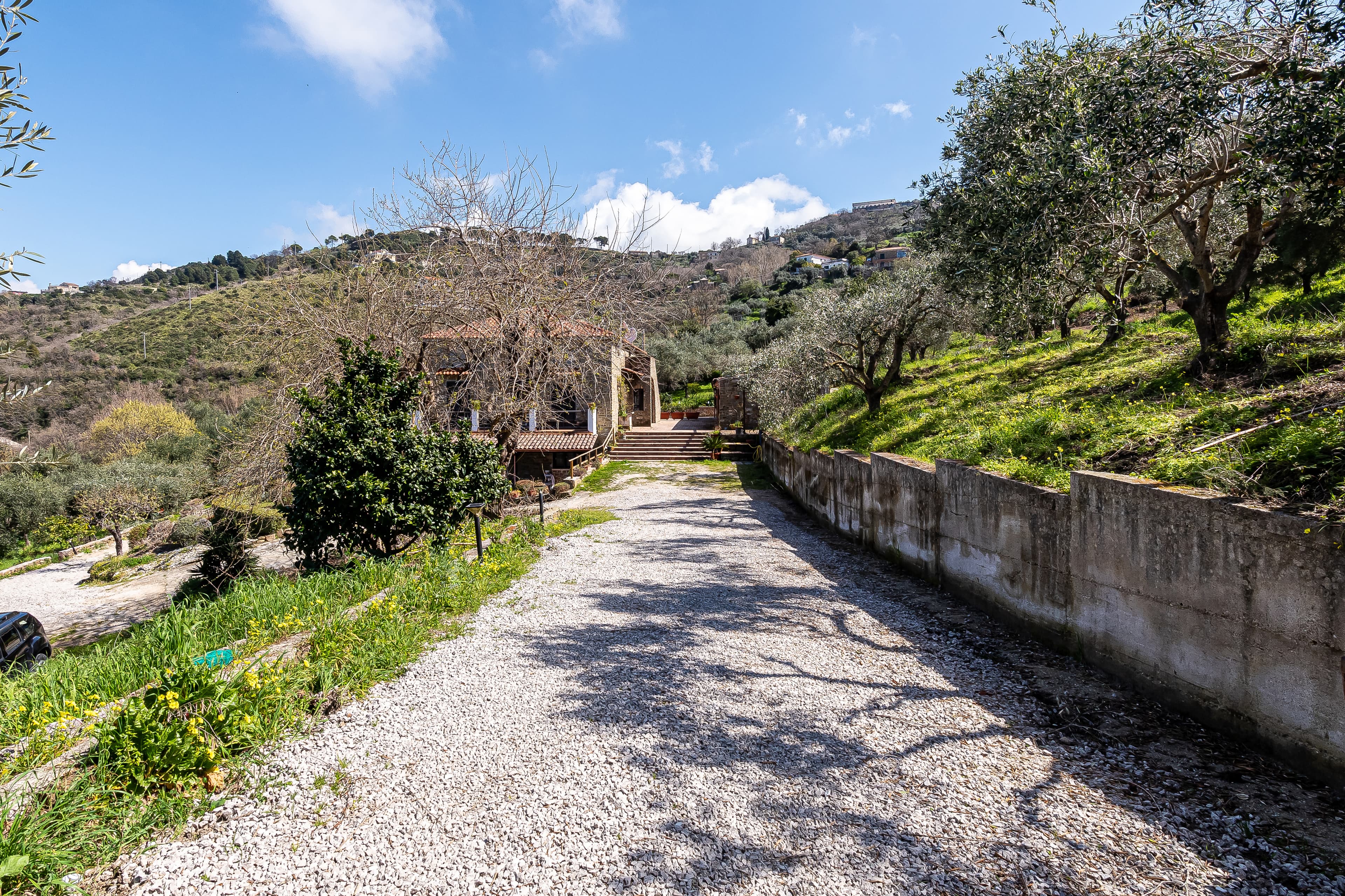 ANTICO CASALE TRA GLI ULIVI