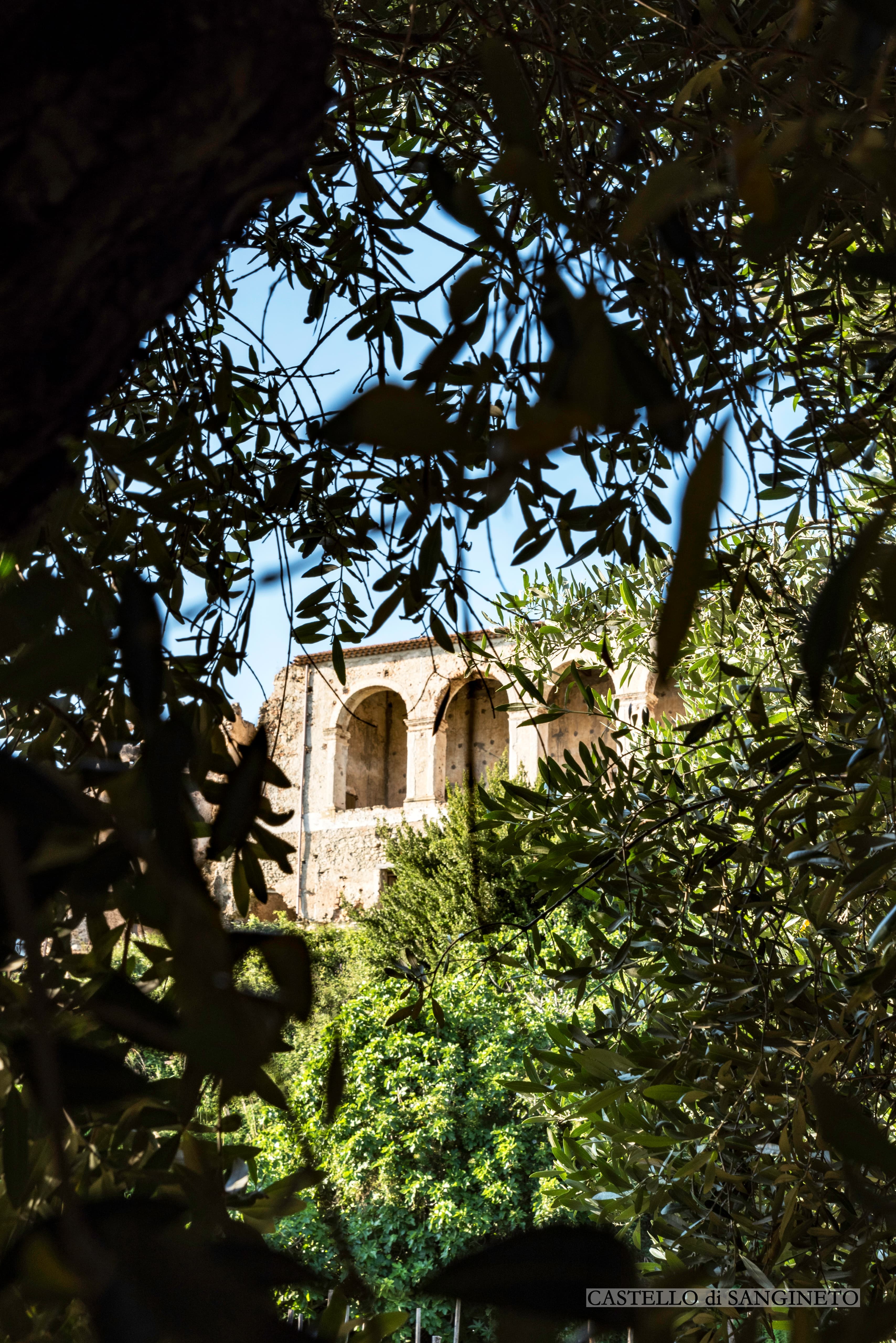 CASTELLO DEL PRINCIPE